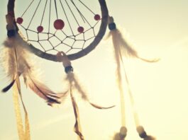 Black Americans X Native American Status