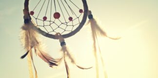 Black Americans X Native American Status