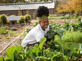 Local farmer’s markets