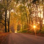 Salute: Russell A Place Of Promise