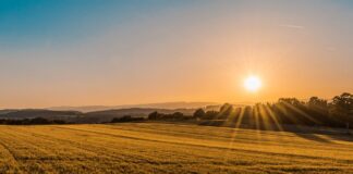 Winter Solstice Update