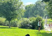 Vibe In The Park 2025 Is Here