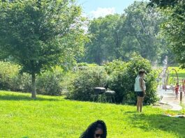 Vibe In The Park 2025 Is Here