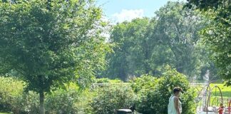 Vibe In The Park 2025 Is Here